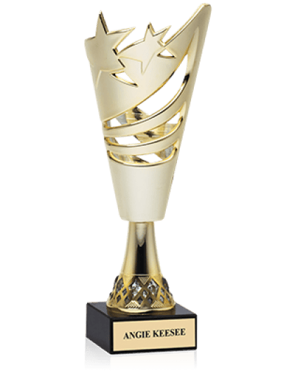 Httpwww.crowntrophy.commediacatalogproductcache1small image9df78eab33525d08d6e5fb8d27136e95202004