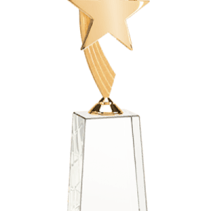 Httpwww.crowntrophy.commediacatalogproductcache1small image9df78eab33525d08d6e5fb8d27136e95272762