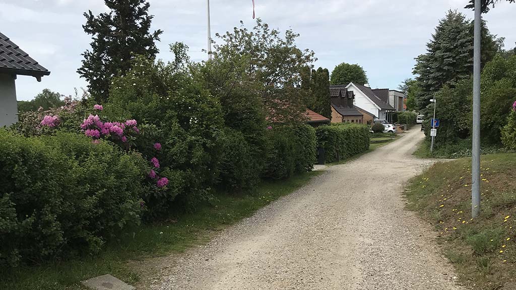 Grusvej med hæk og buske