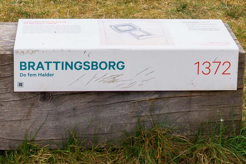 Brattingsborg er med sin placering tæt på Hald Slot højst sandsynligt et belejringsanlæg. Placeringen er ideel til at overvåge og beskyde borgen ved søbredden med en blide eller kastemaskine. Anlægget stammer derfor formentlig fra 1370’erne, hvor Valdemar Atterdag havde stort held med at drage rundt i Jylland og besejre sine modstandere.