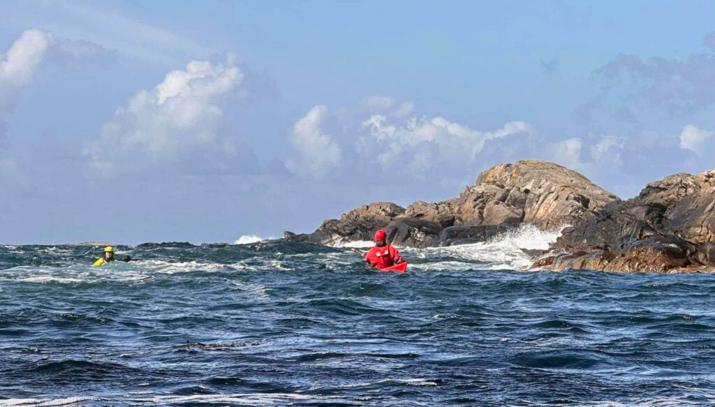 Bølgesjov