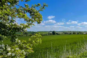 Danmark dejligst