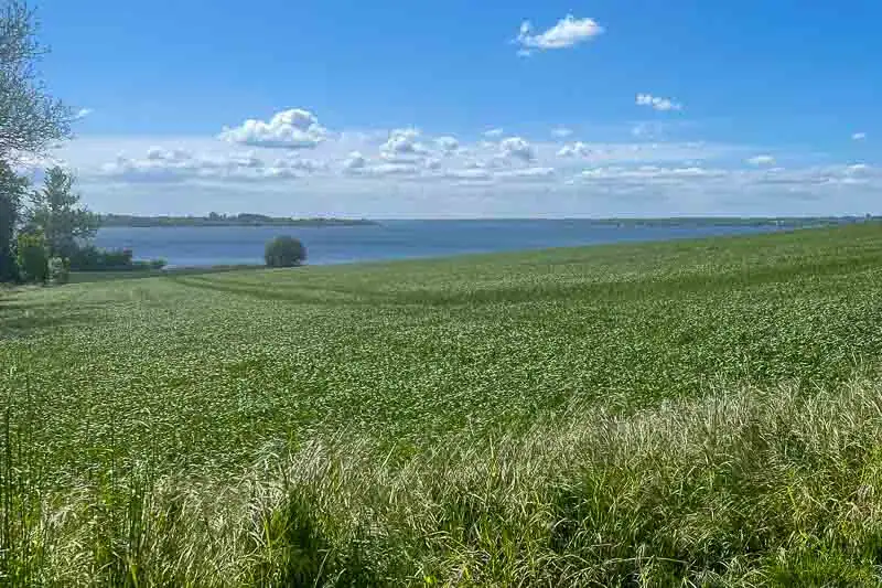 Bølgende hav