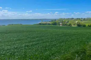 Skodsbøl Forfyr