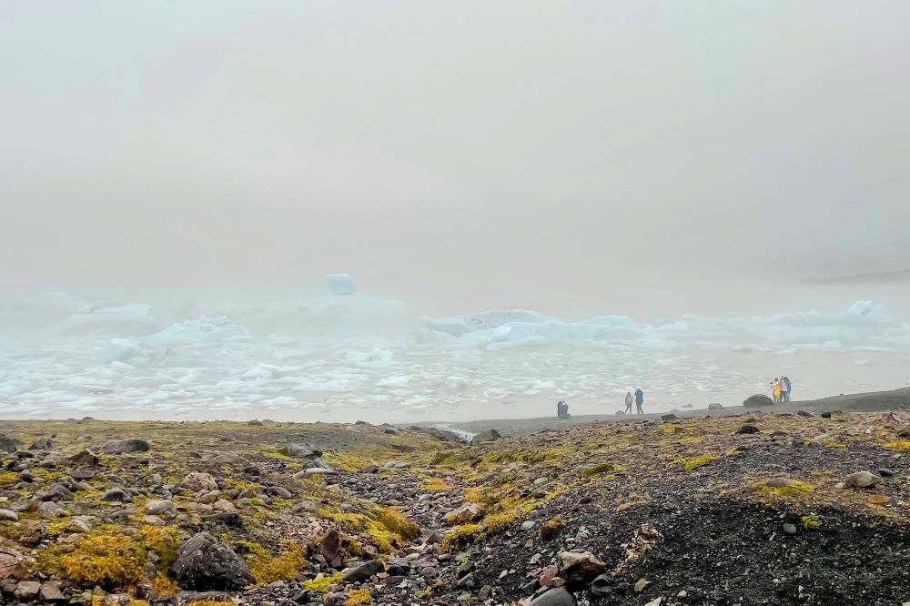 En gruppe turister nyder den naturskønne udsigt med isfjelde og bakkeslette.