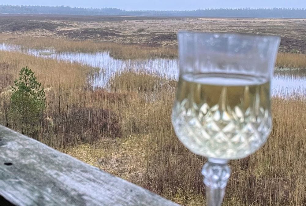 Udsigt over åbn hede med et glas vin i forgrunden