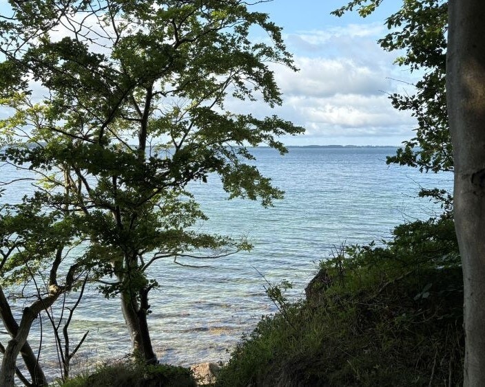 Skov og udsigt over vandet mod Langland
