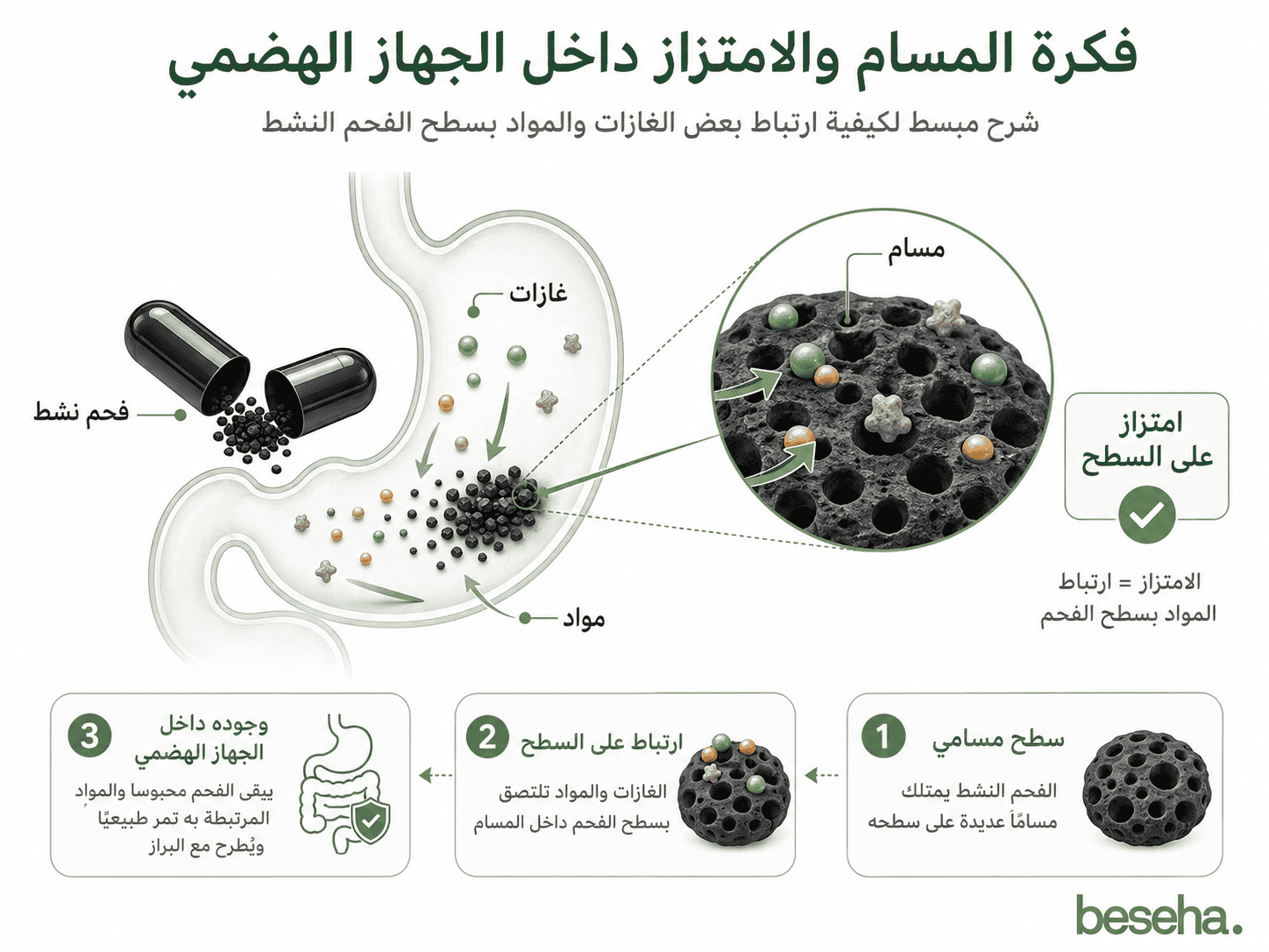 طريقة عمل الفحم النشط داخل الجهاز الهضمي