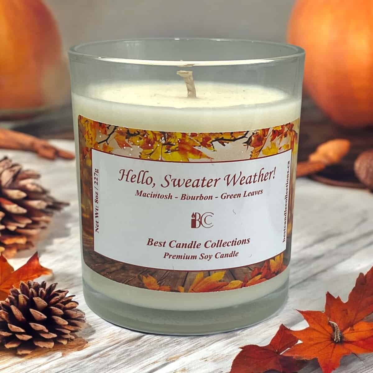 Cozy autumn-themed soy candle with warm scents, perfect for fall evenings.