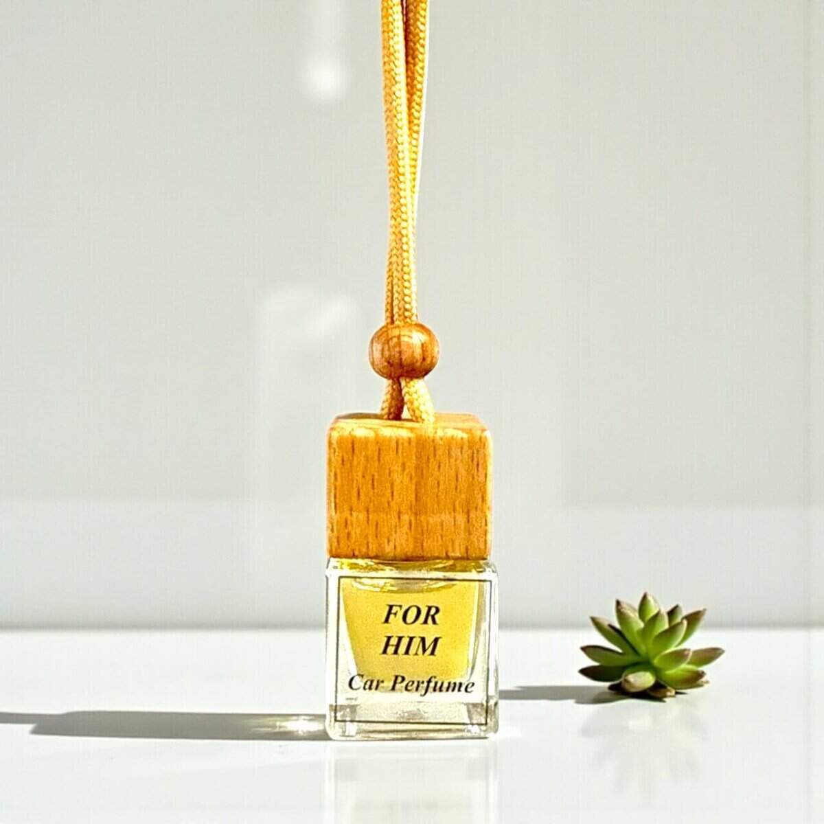 Car Diffuser for Him with Fragrance Oil.