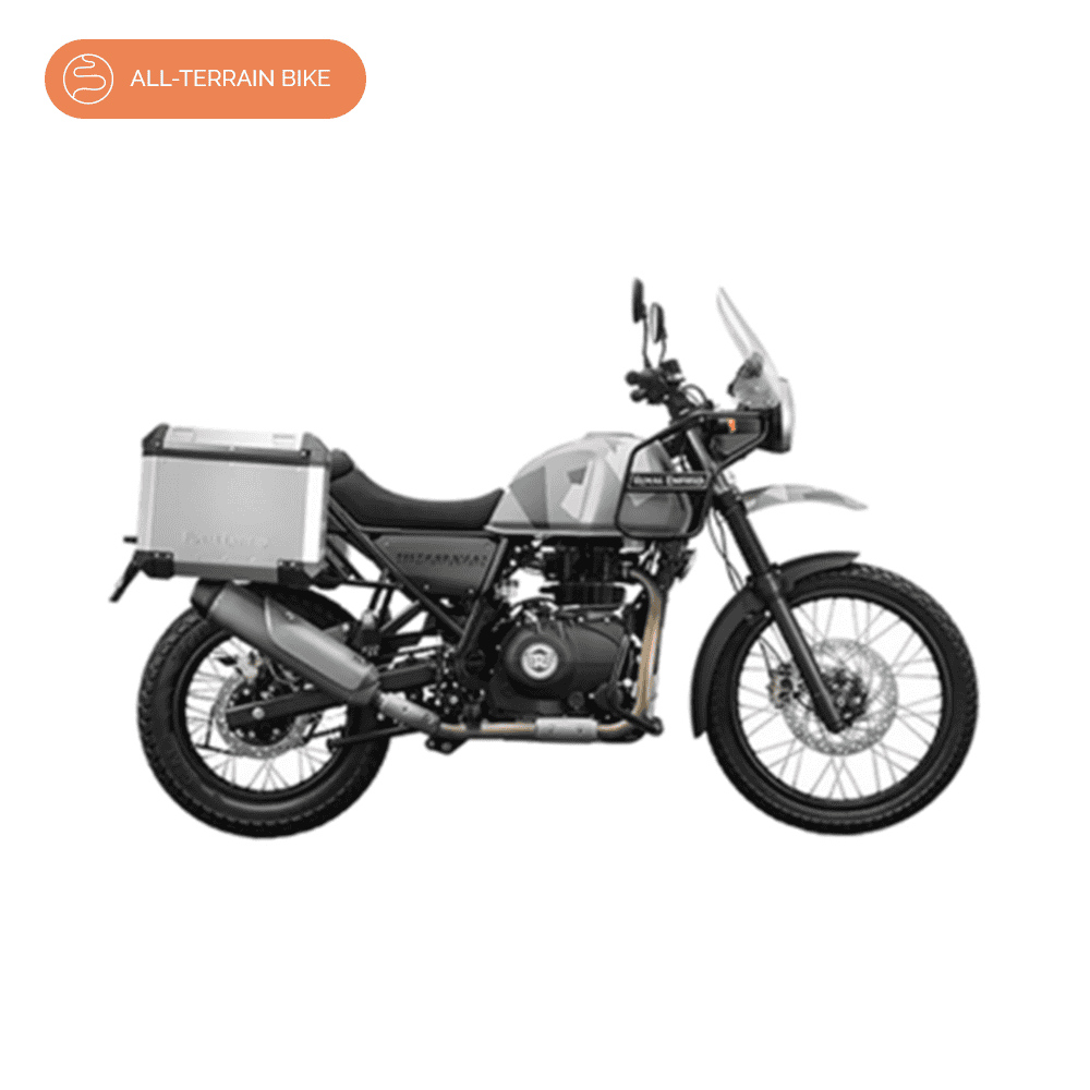 Himalayan_411