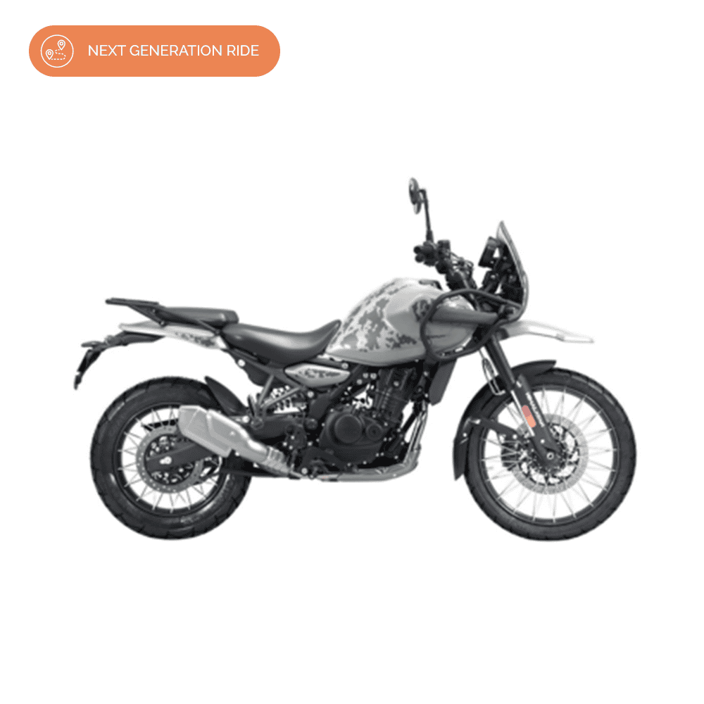 Himalayan_450