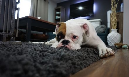 ¿Se acerca el lunes? No hay problema, las pilas a tope