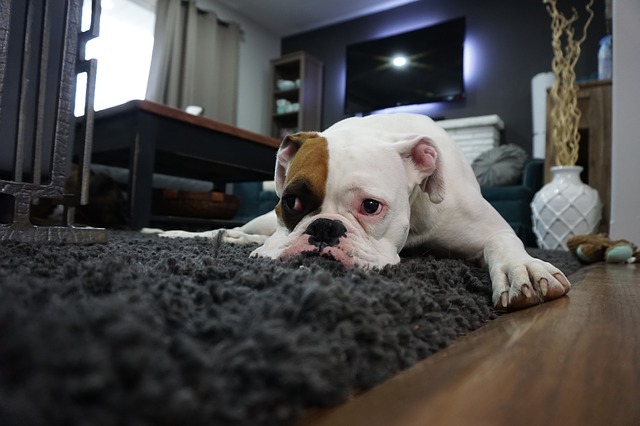 ¿Se acerca el lunes? No hay problema, las pilas a tope