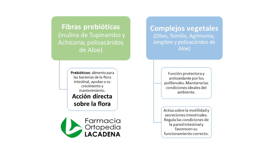 FisioFlor
