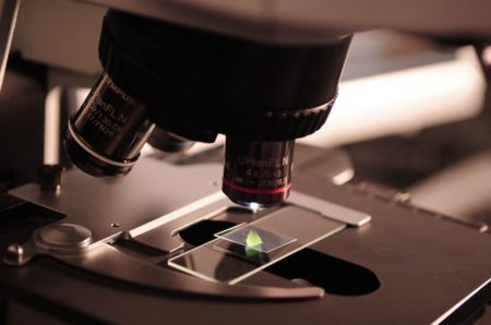 Ciencia