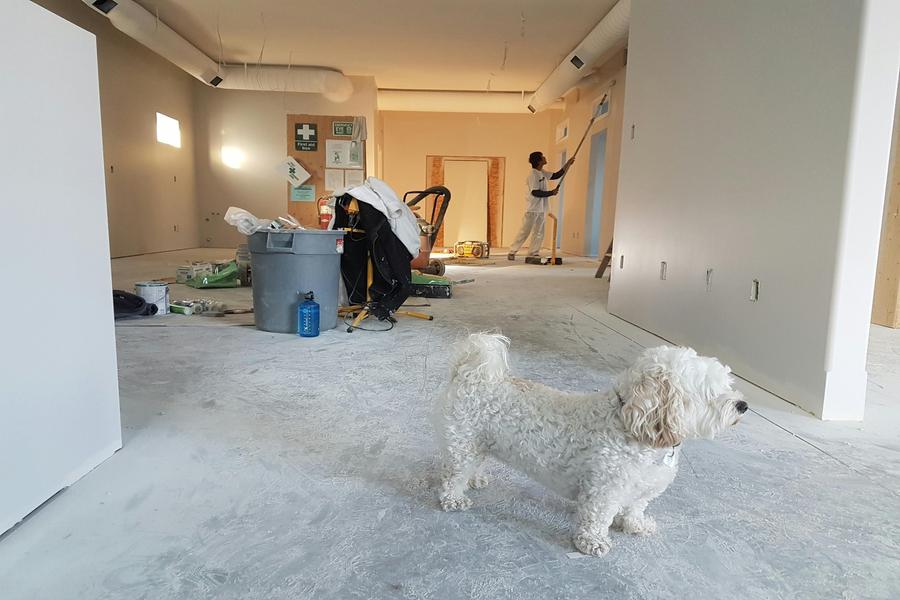Property maintenance in Blue Springs – drywall repair near front entry