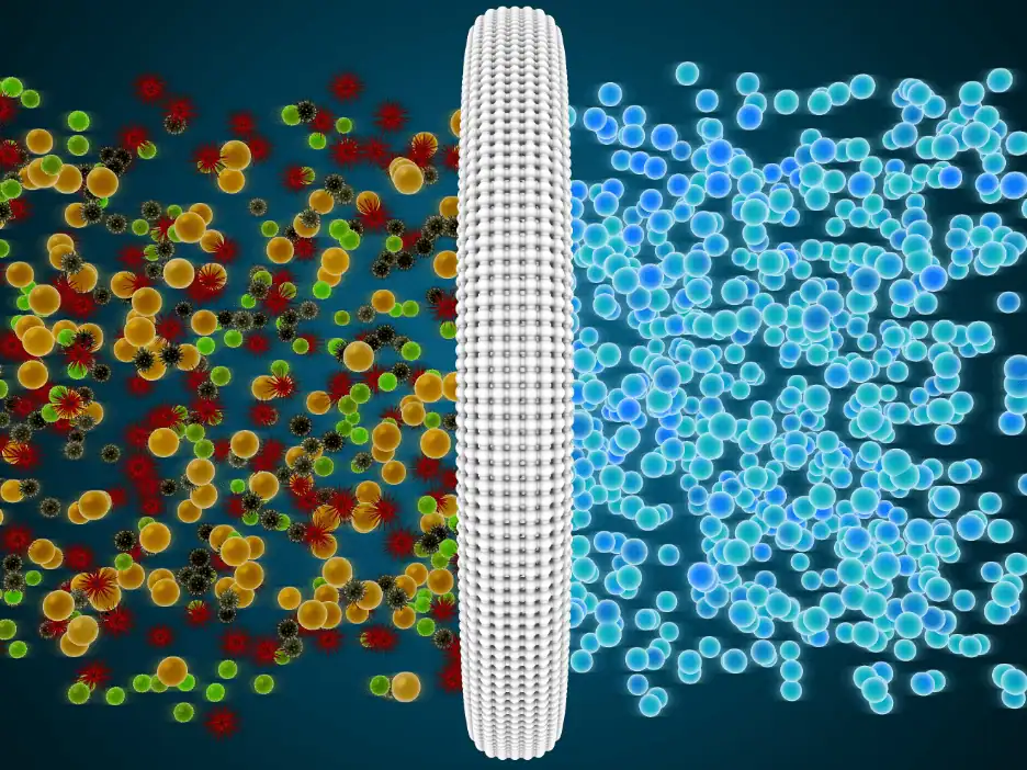 A membrane filter, featured in Bonfe Insider’s September 2020 issue, separates variously colored particles from a group of uniform blue ones, clearly demonstrating the molecular filtration services offered by the Bonfe team.