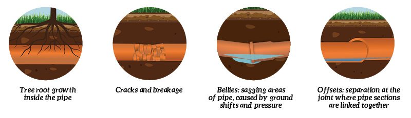 Four circular illustrations from the Bonfe Insider December 2022 highlight common pipe problems our team can help with: tree root intrusion, cracked pipes, a sagging section with water pooling (known as a belly), and misaligned or offset pipe joints.