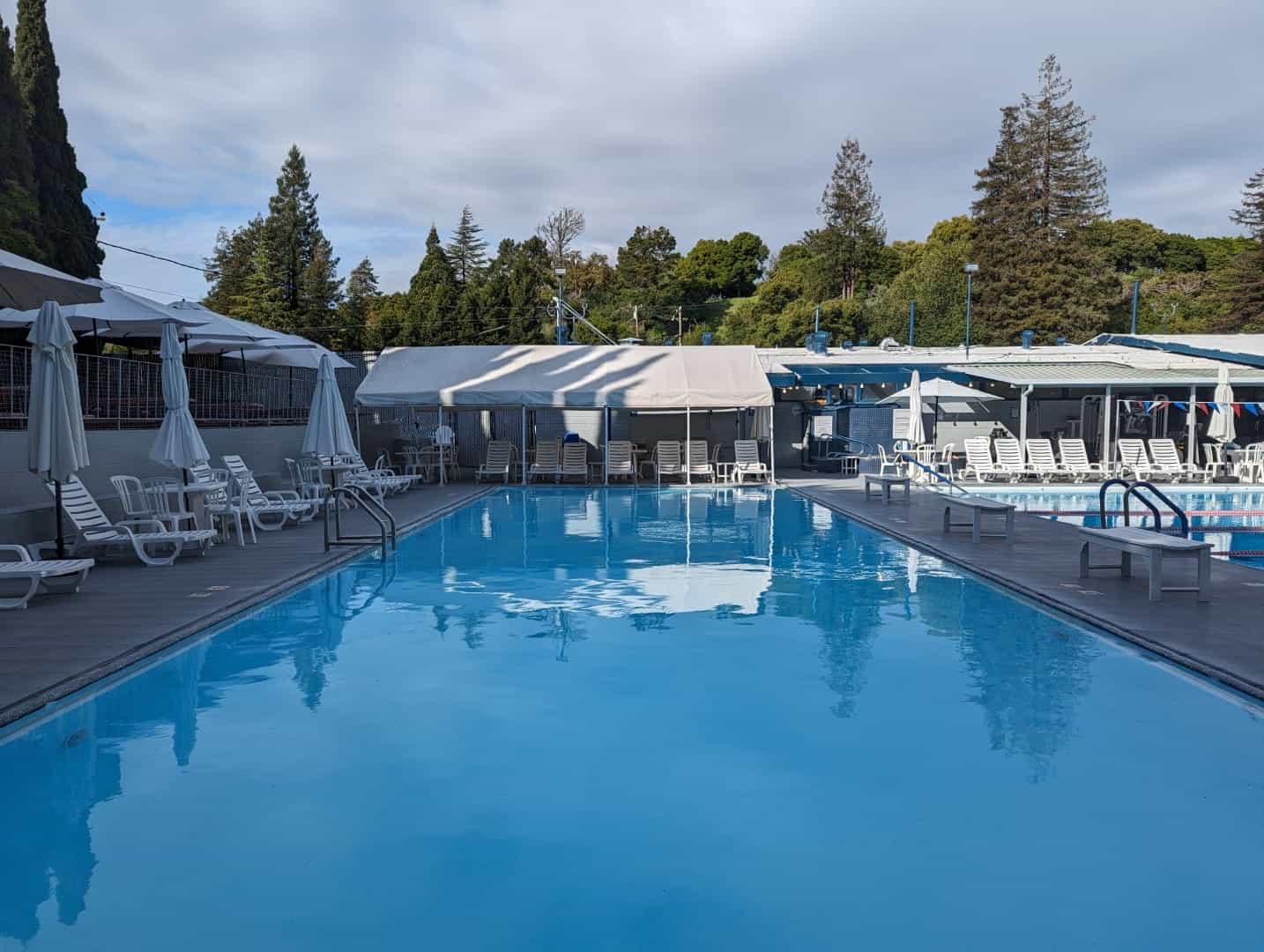 Swimming pool at Bay-O-Vista Swim & Tennis Club with lounge chairs, umbrellas, and surrounding trees, offering a relaxing atmosphere for members.