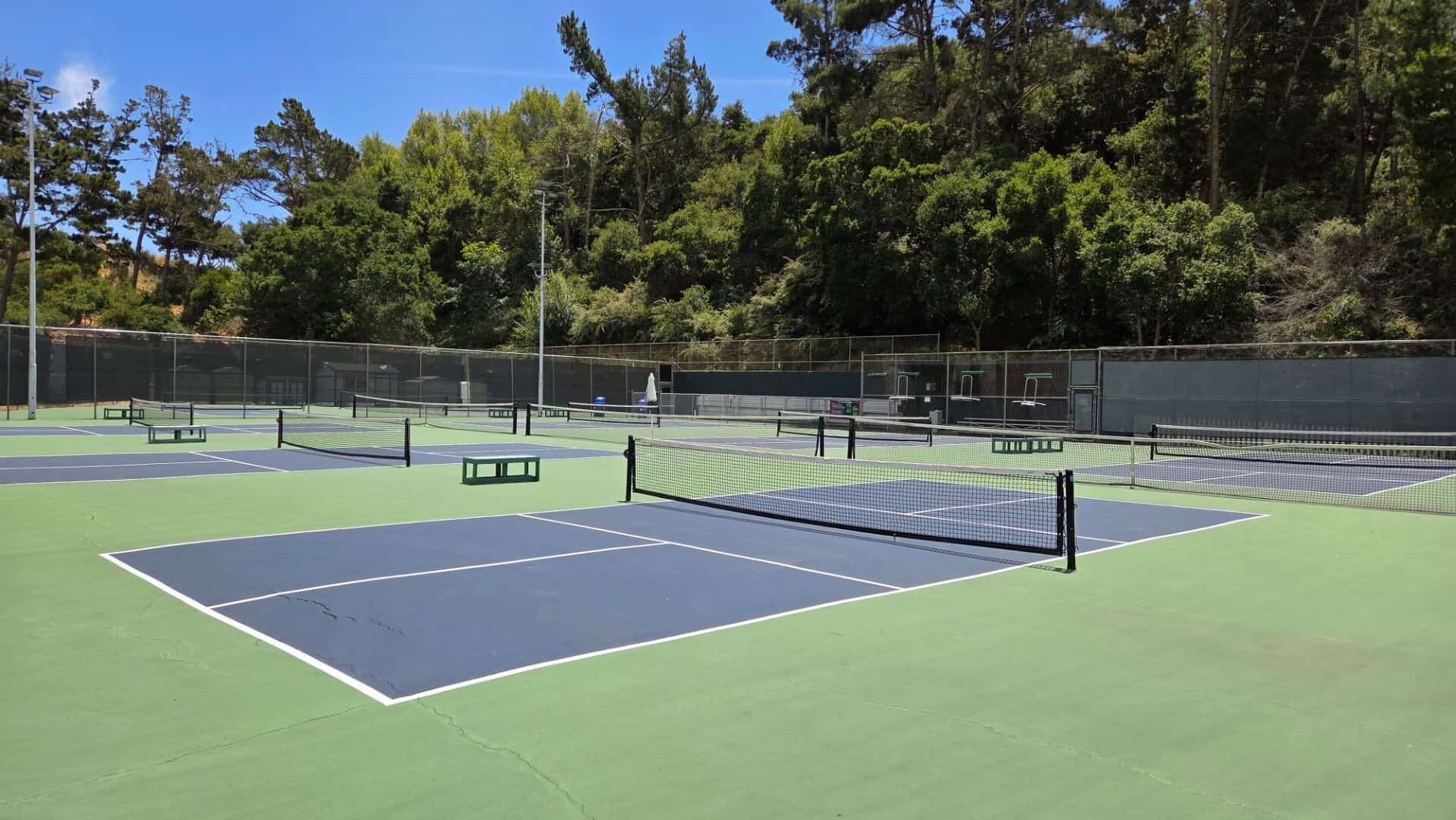 Tennis courts at Bay-O-Vista Swim & Tennis Club surrounded by lush greenery and scenic trees, perfect for outdoor sports and recreation.