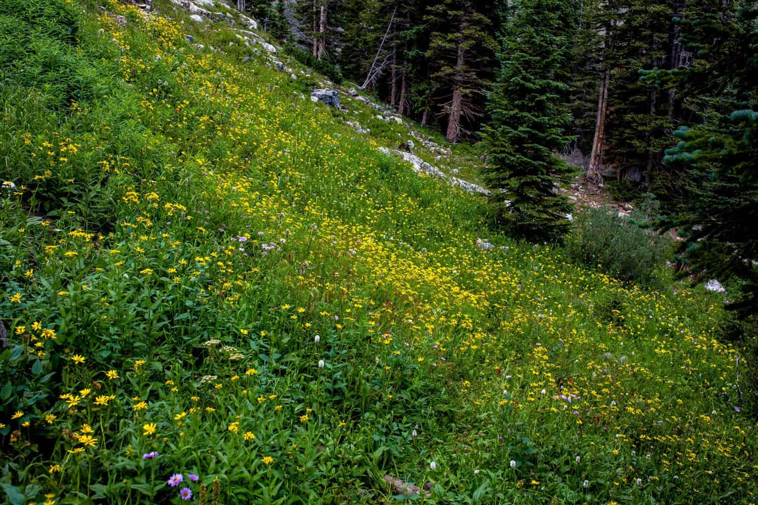 Hiking Colorado