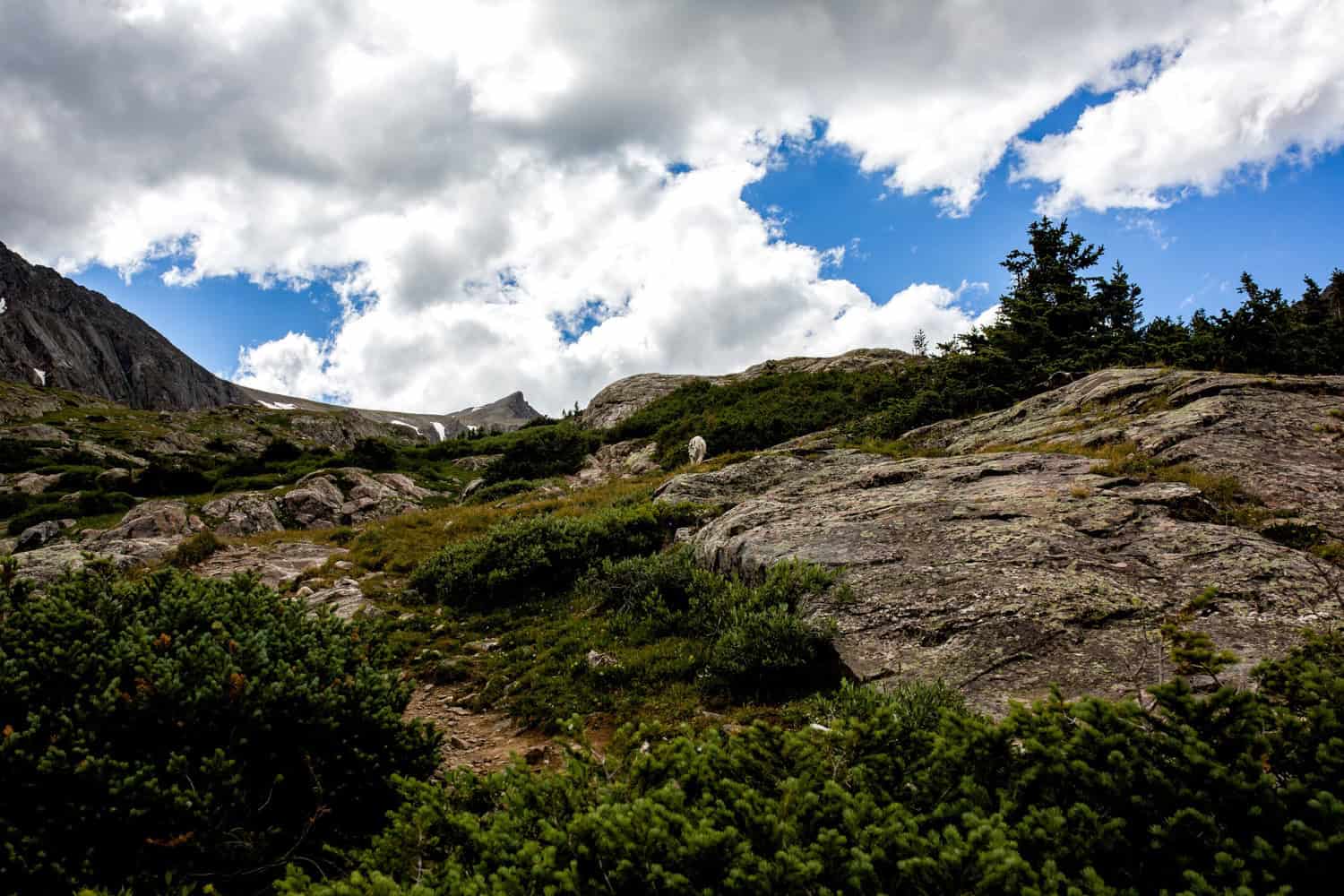 Lower Mohawk Lake CO