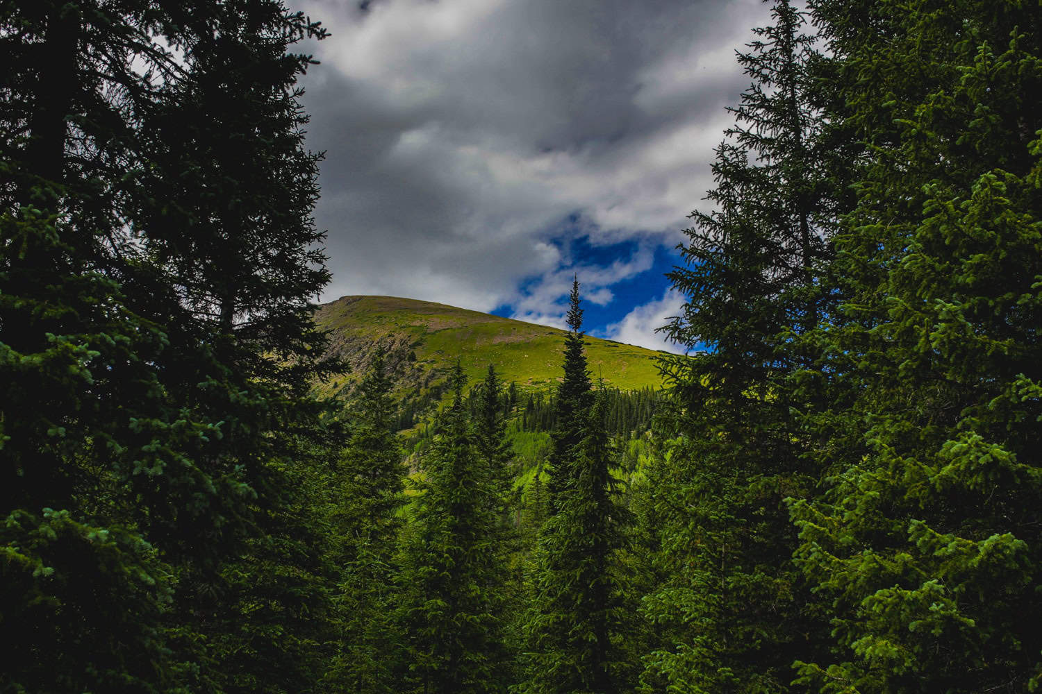 Lower Mohawk Lake CO