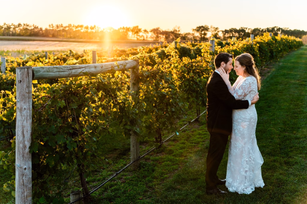 A bride and groom stand facing each other in a vineyard at sunset, surrounded by lush green grapevines.