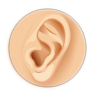 2019-Listening