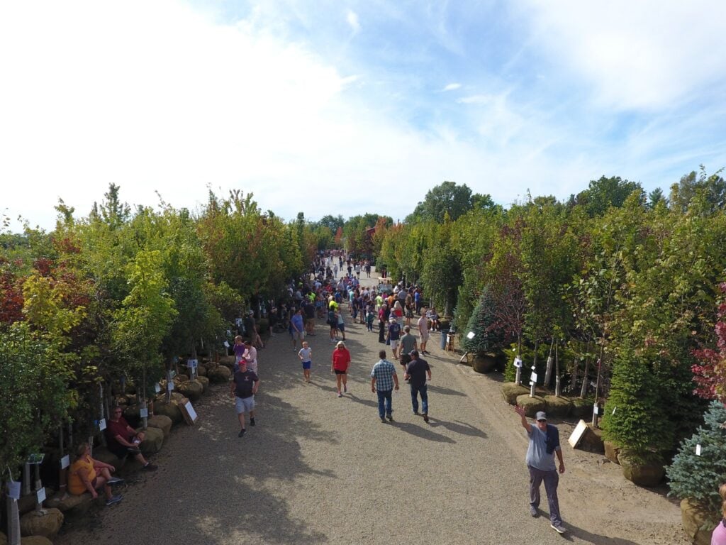 Crowd at Bussey Bros Auction with trees lining the pathway.