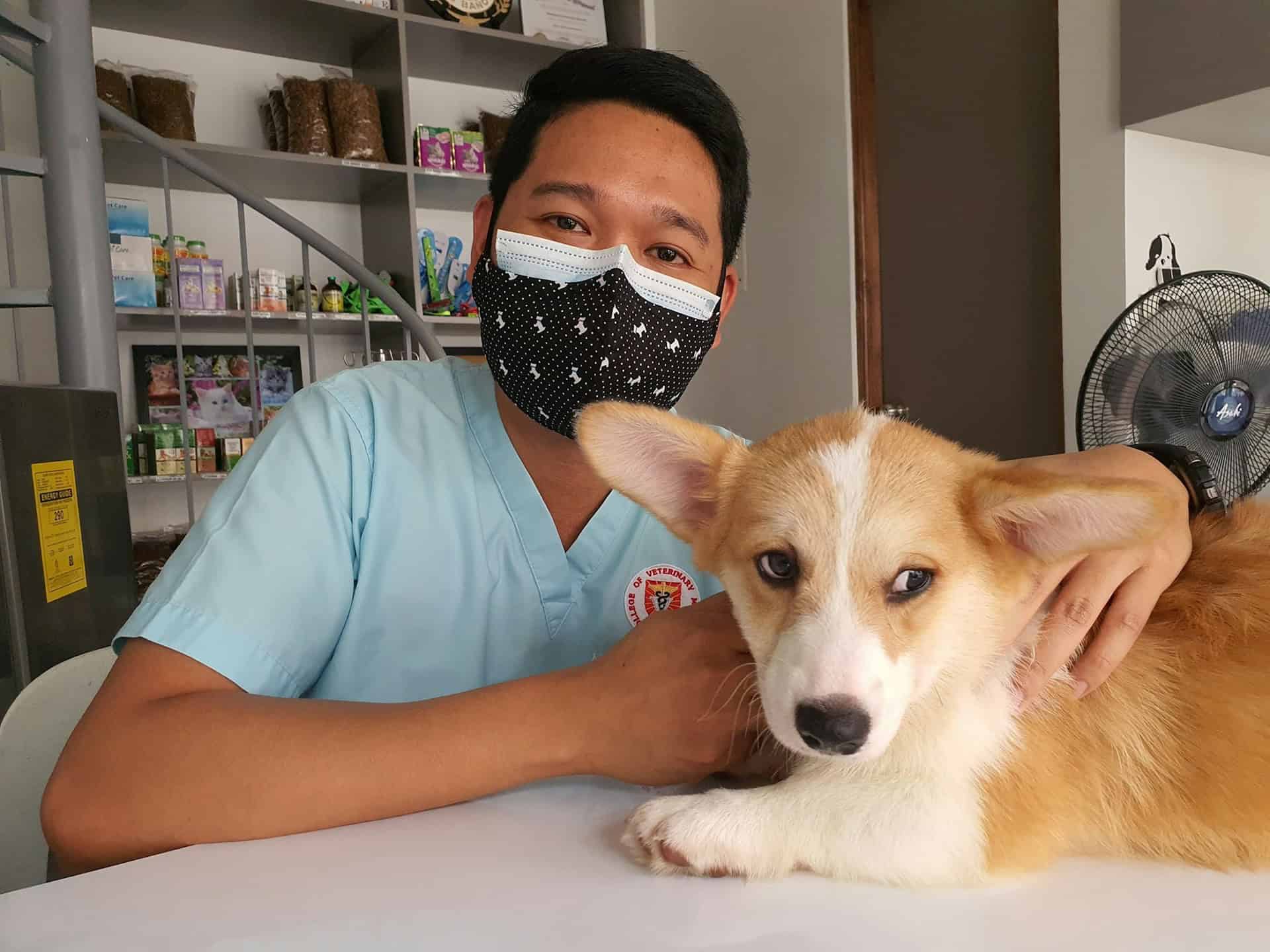 Pet Insurance Statistics 2026