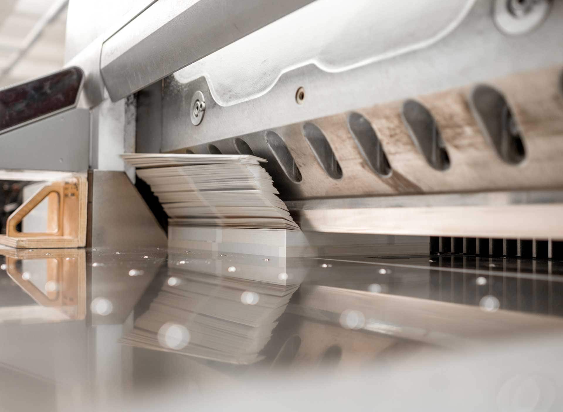 ความแม่นยำในการไดคัทสติกเกอร์ Die-cut Precision โดย C2S Printing