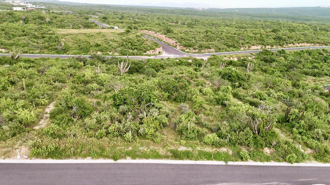 Cabo Real Real Estate, Villas, Condos, Estates, With Lush Greenery And Open Land In Cabo Corridor, Los Cabos, Baja California Sur.