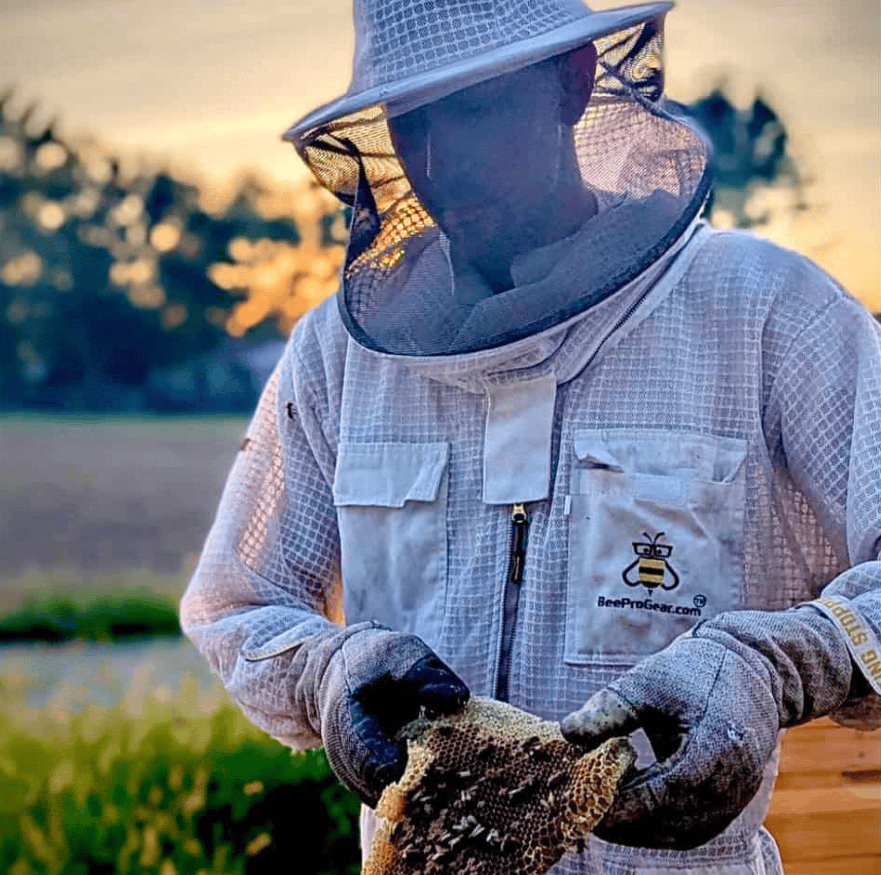 Beekeeper in protective suit holding honeycomb at sunset, promoting Café Tolento's honey products.