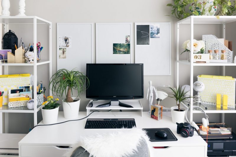 A computer screen on a desk next to shelves containing plants and other objects