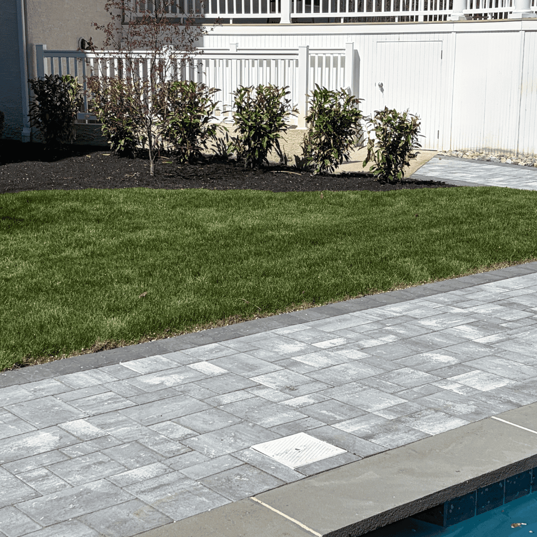 Backyard patio with stone pavers, manicured grass, and decorative shrubs.
