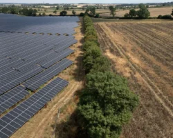 Large solar panel installation in a rural field with trees and farmland.
