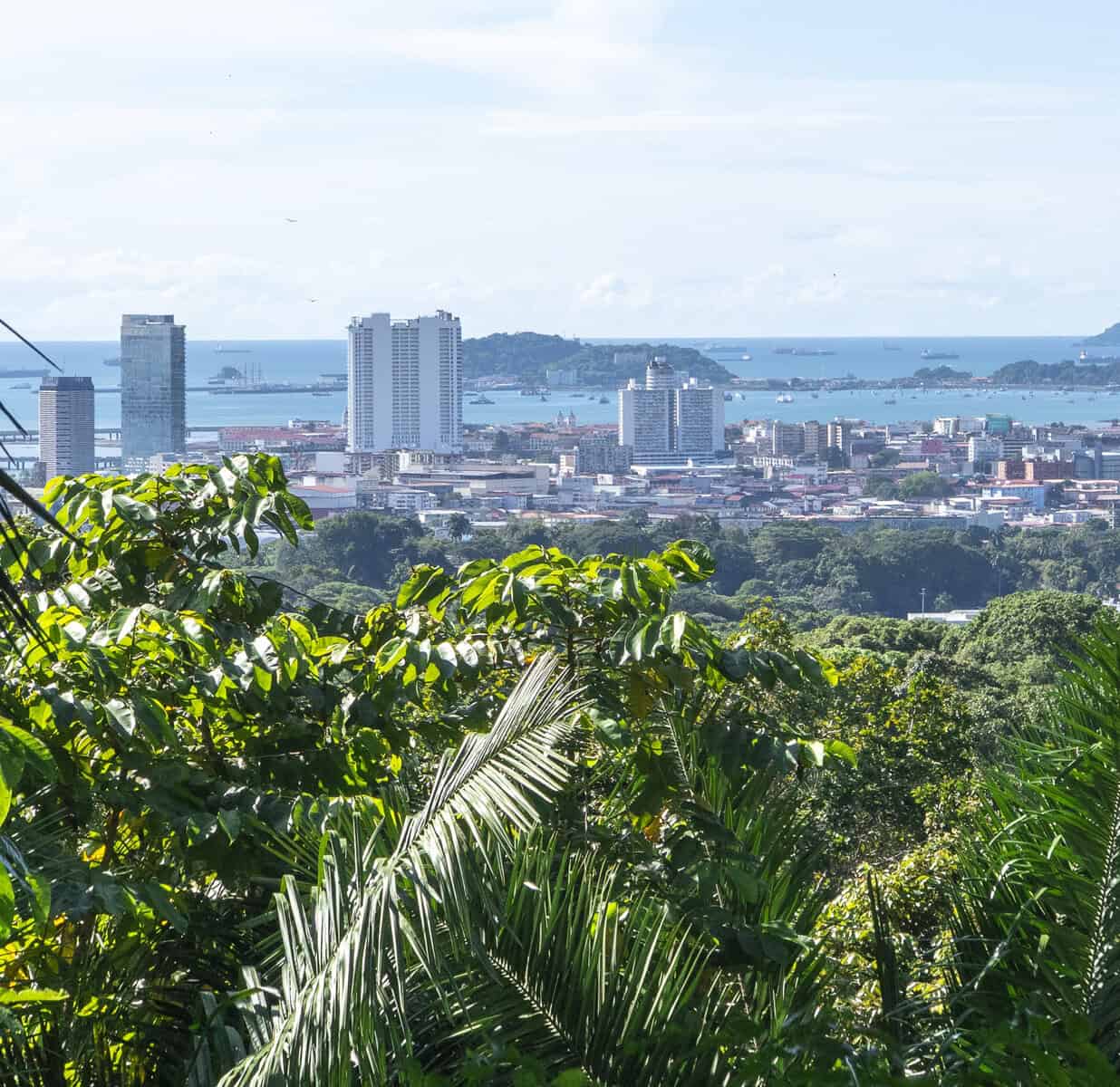 View of Casco Viejo and the Pacific Ocean from Metropolitan Natural Park Panama City