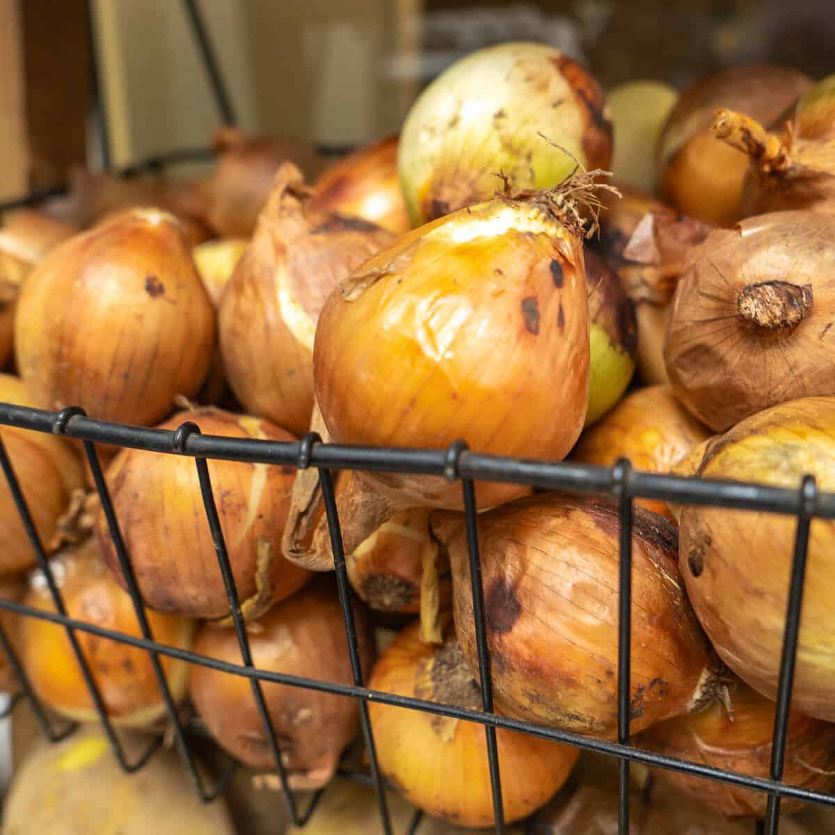Fresh whole onions stored in a wire basket at Vegan Shack in Casco Viejo, Panama.