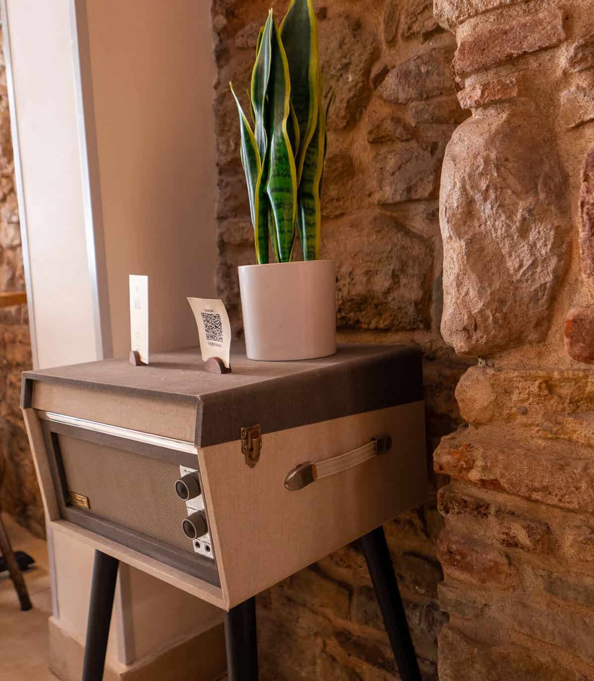 Vintage radio cabinet topped with a potted snake plant beside an exposed stone wall inside The Vegan Shack in Casco Viejo.