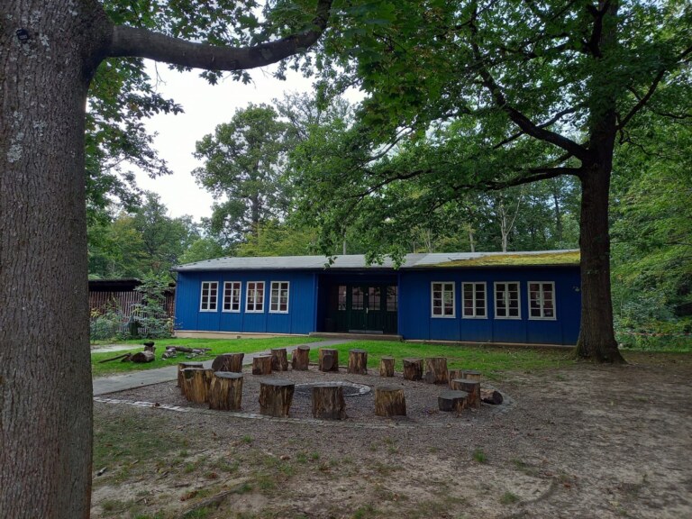 Waldschule mit Holzstümpfen im Vordergrund