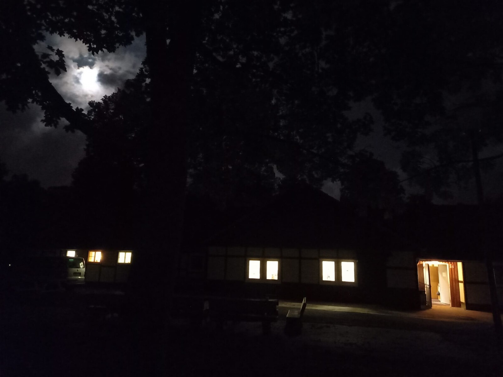 Nachtansicht, Haus, beleuchtete Fenster, Bäume, Mondlicht.