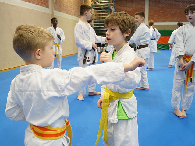 Kinder trainieren Karate im Dojo.