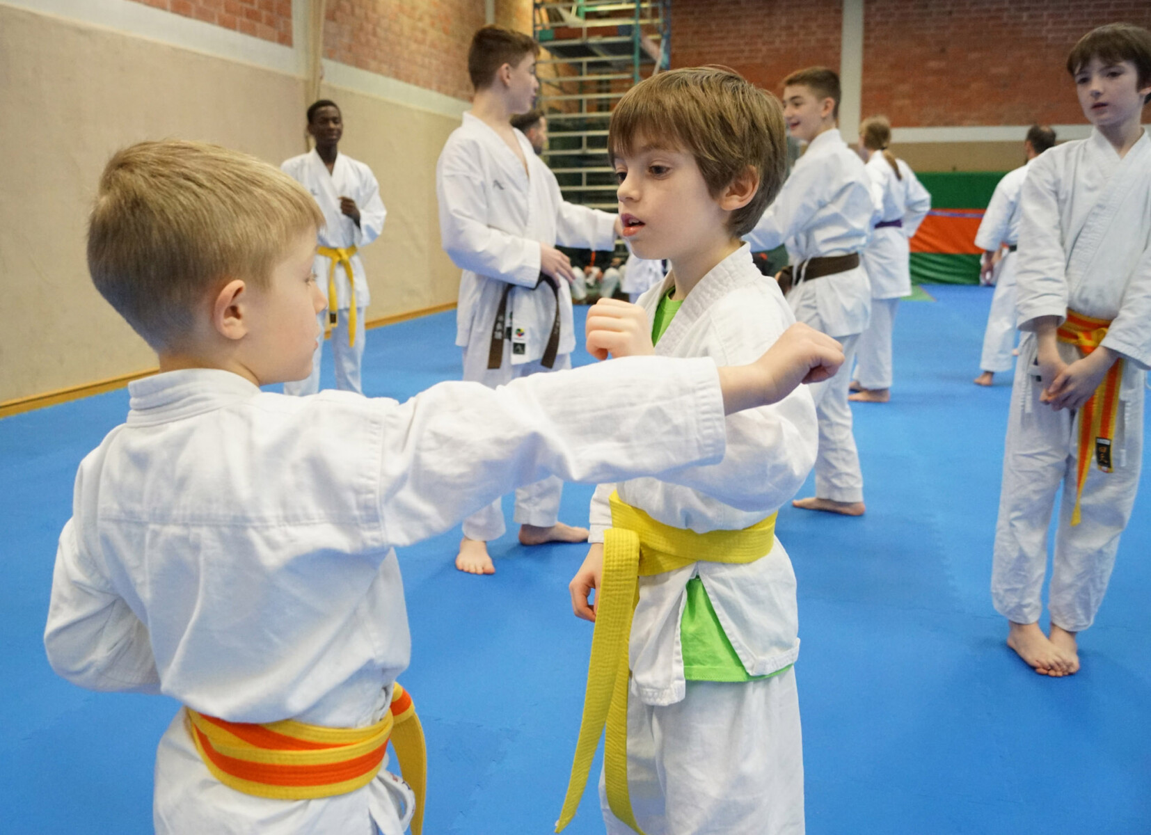 Kinder trainieren Karate im Dojo.