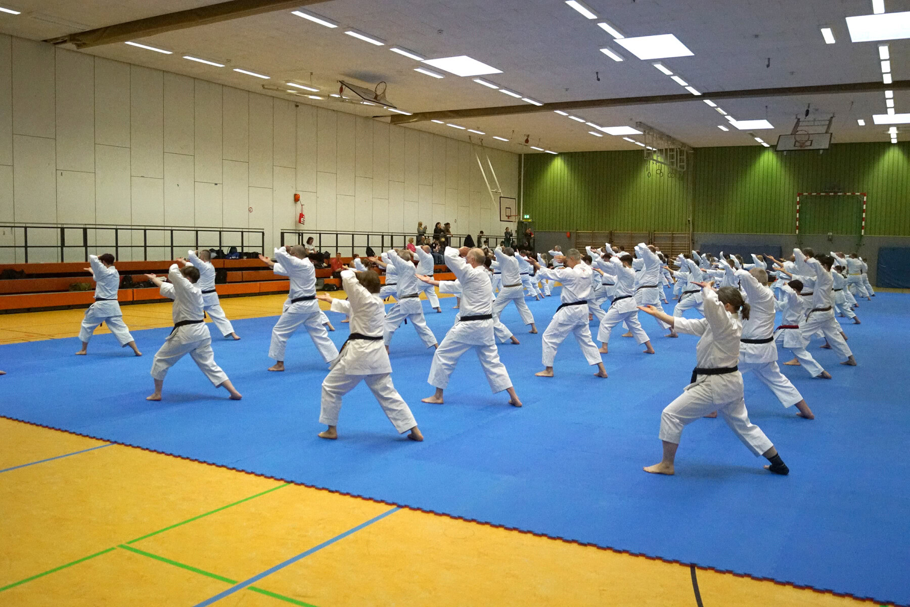 Karate-Gruppe trainiert gemeinsam in einer Sporthalle