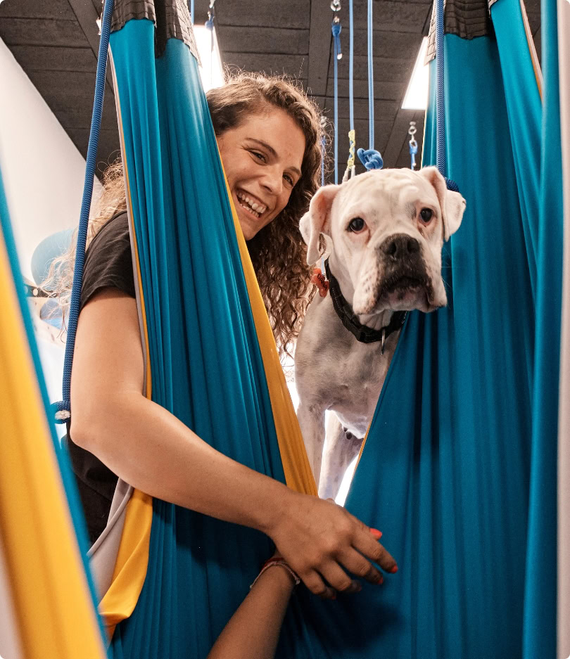 Terapia asistida con perros Coru&ntilde;a