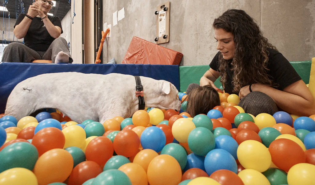 Terapia asistida con perros en A Coru&ntilde;a