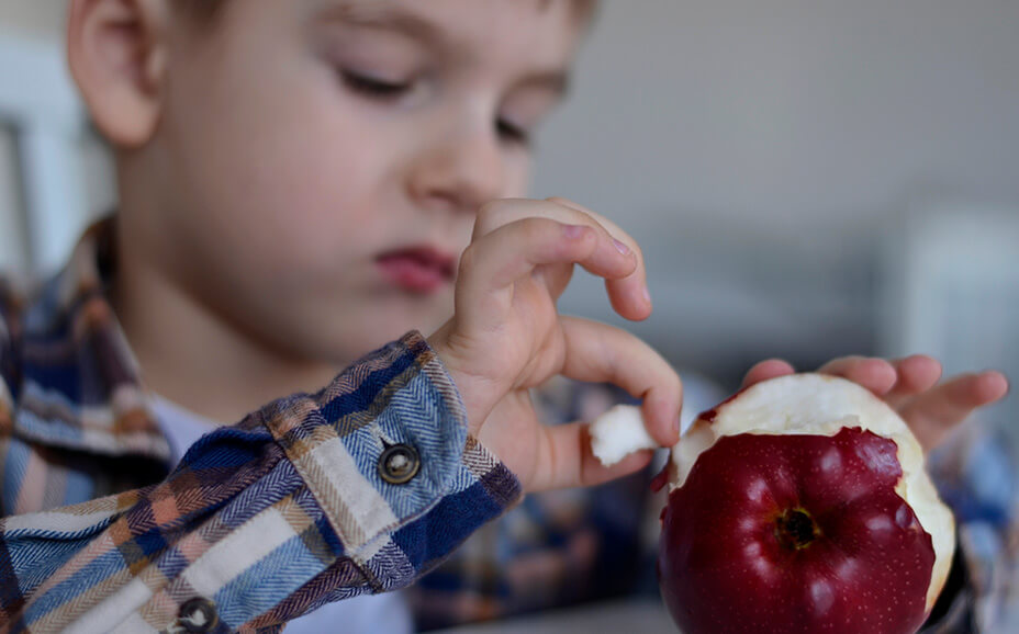 hipersensibilidad a los alimentos