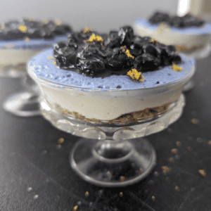 bluest blueberry no bake cheesecake